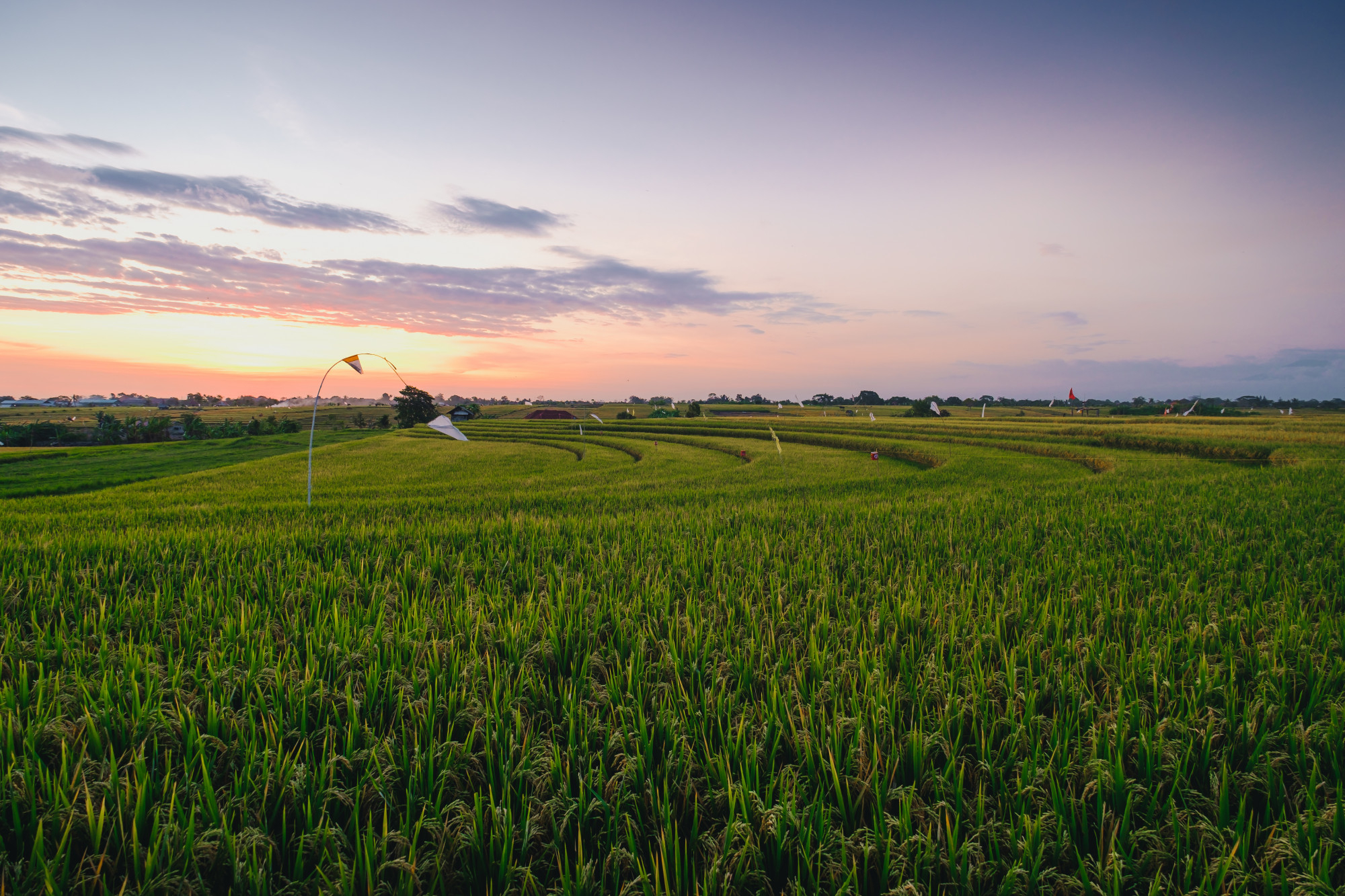 Agricultural Land Image